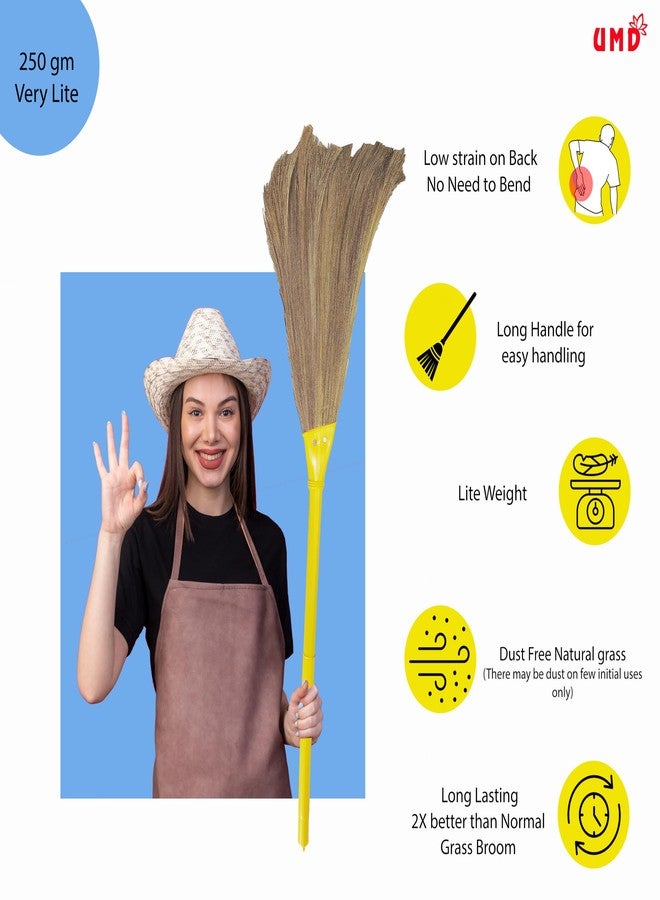 UMD Pack of 2 pcs Natural Grass Broom, Ultra Lightweight 250g, Long Handle 4ft, Low Dust, Pain-Free Grip, Superior Debris Capture (2) - Image 2